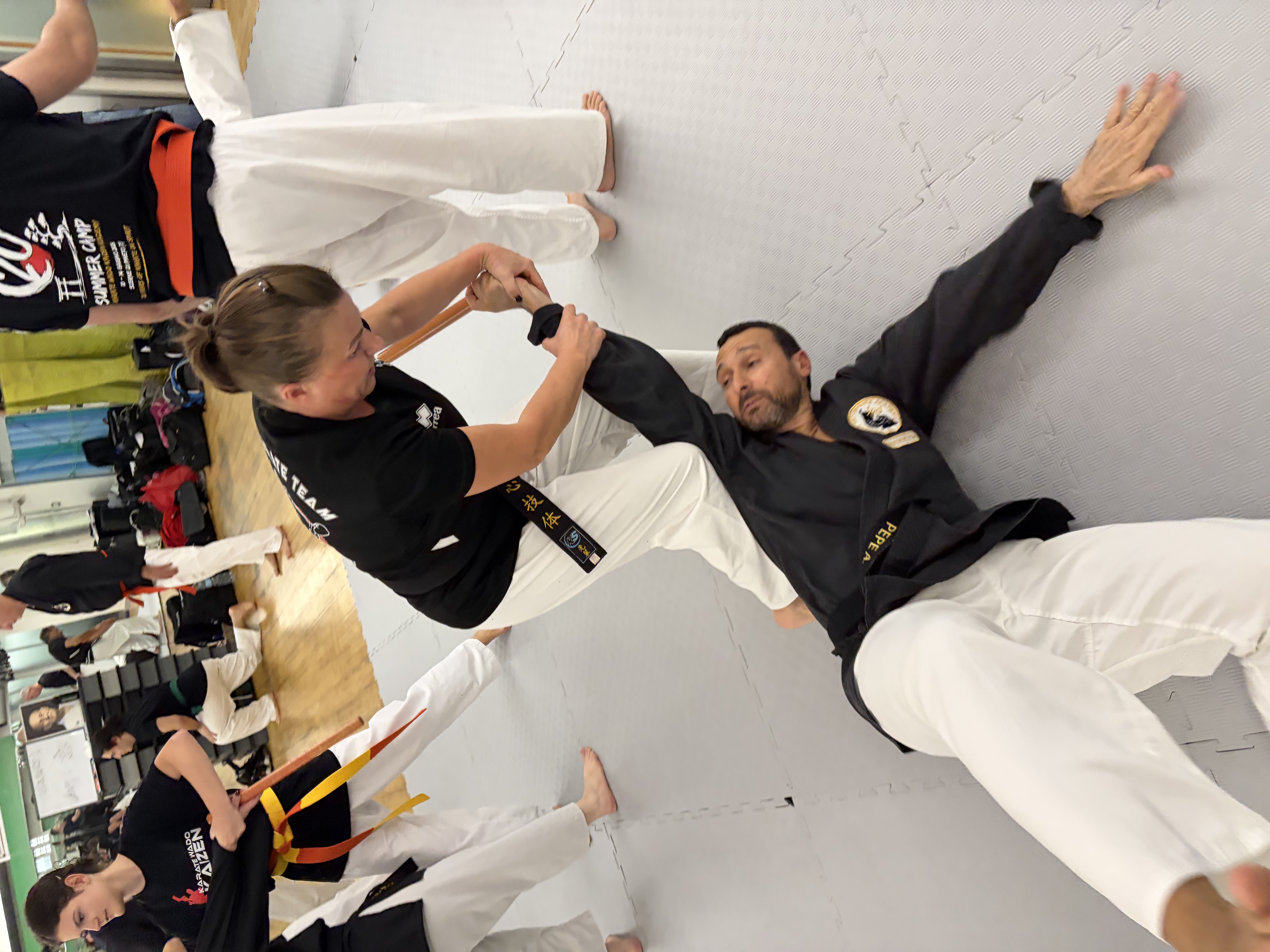 WSD WADO SELF DEFENCE aggiornamento sulla Difesa Personale