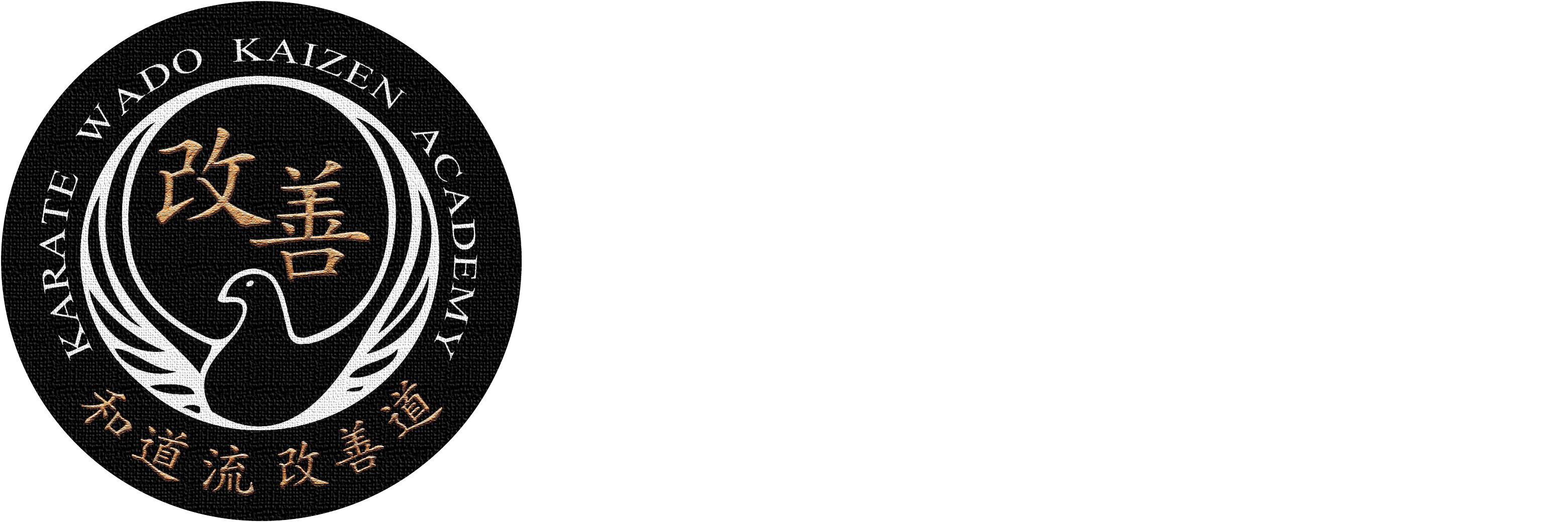 Wado Kaizen Academy